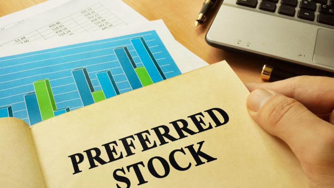 Seed Round Convertible Preferred Stock